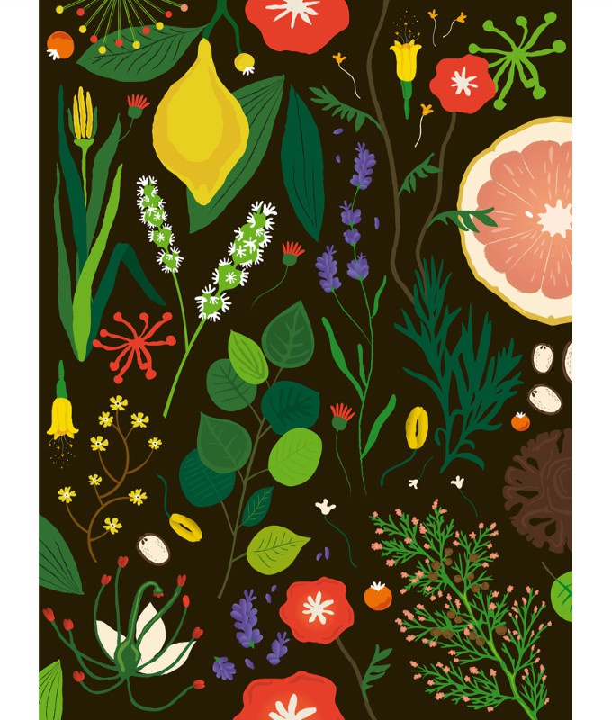 illustration peggy moquay motifs.jpg - Peggy MOQUAY | Virginie